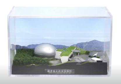 恐竜博物館 模型