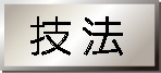 技法